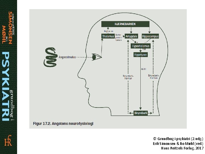 © Grundbog i psykiatri (2. udg. ) Erik Simonsen & Bo Møhl (red. )