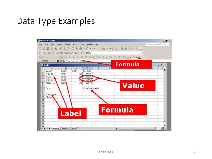 Data Type Examples Formula Bar Value Label s Formula BA 10 1. 03 9