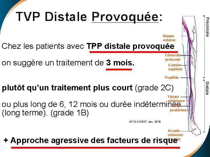 Iliaque externe Proximale TVP Distale Provoquée: Chez les patients avec TPP distale provoquée on