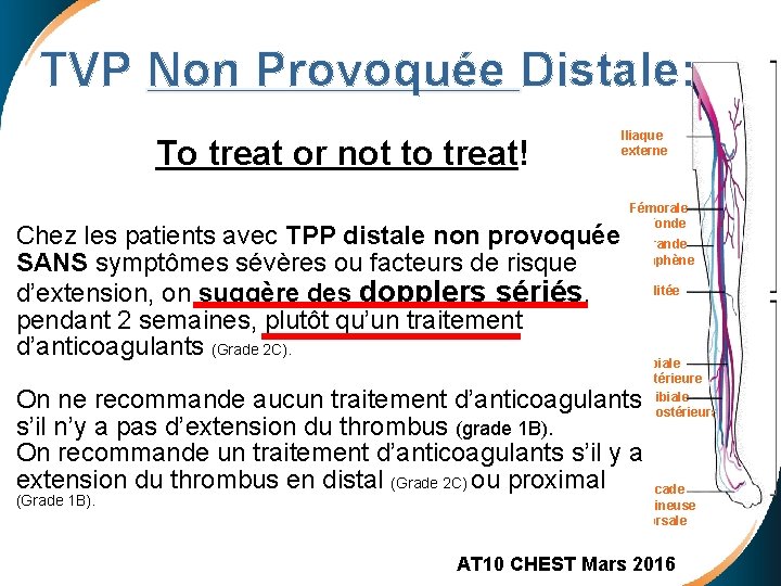 TVP Non Provoquée Distale: To treat or not to treat! Iliaque externe Fémorale profonde