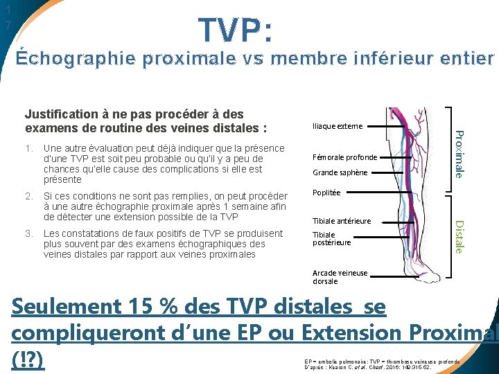 1 7 TVP: Échographie proximale vs membre inférieur entier 1. 2. Fémorale profonde Grande