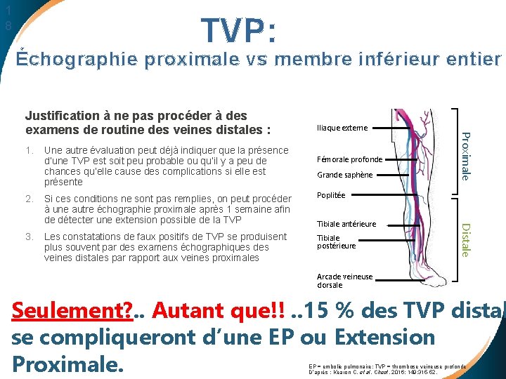 1 8 TVP: Échographie proximale vs membre inférieur entier 1. 2. Fémorale profonde Grande