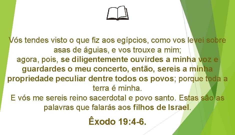 Vós tendes visto o que fiz aos egípcios, como vos levei sobre asas de