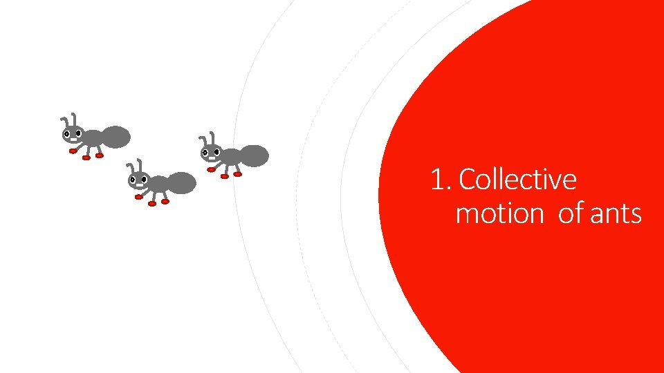 1. Collective motion of ants 