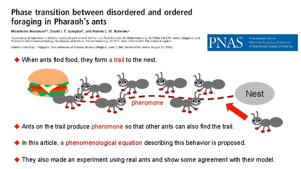 ◆ When ants find food, they form a trail to the nest. Nest pheromone