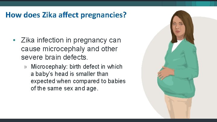 How does Zika affect pregnancies? • Zika infection in pregnancy can cause microcephaly and