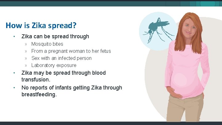 How is Zika spread? • Zika can be spread through » » • •