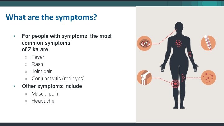 What are the symptoms? • For people with symptoms, the most common symptoms of