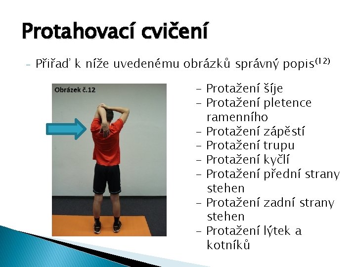 Protahovací cvičení - Přiřaď k níže uvedenému obrázků správný popis(12) - Protažení šíje -