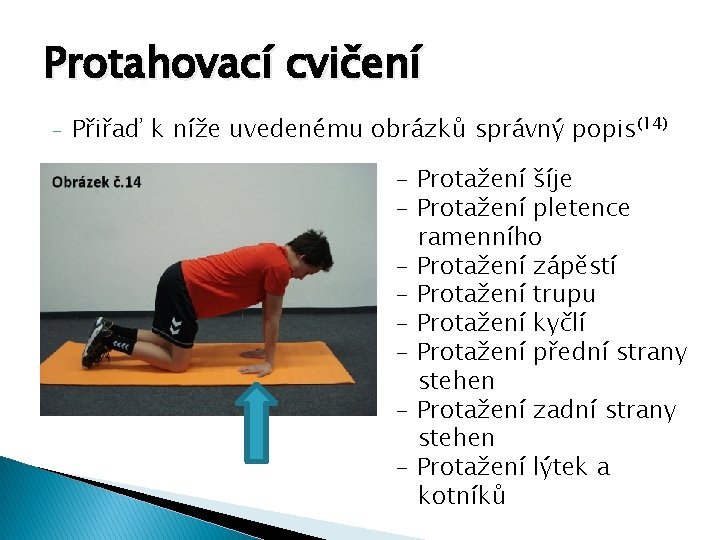 Protahovací cvičení - Přiřaď k níže uvedenému obrázků správný popis(14) - Protažení šíje -