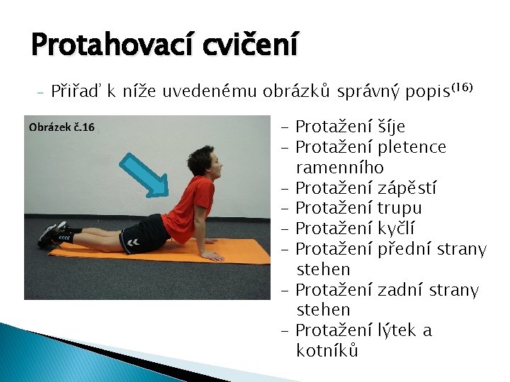 Protahovací cvičení - Přiřaď k níže uvedenému obrázků správný popis(16) - Protažení šíje -