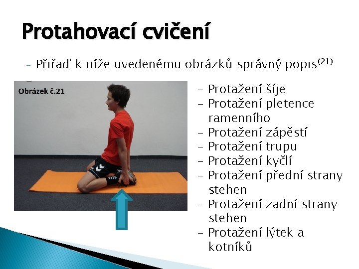 Protahovací cvičení - Přiřaď k níže uvedenému obrázků správný popis(21) - Protažení šíje -