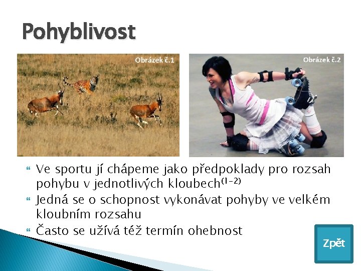 Pohyblivost Ve sportu jí chápeme jako předpoklady pro rozsah pohybu v jednotlivých kloubech(1 -2)