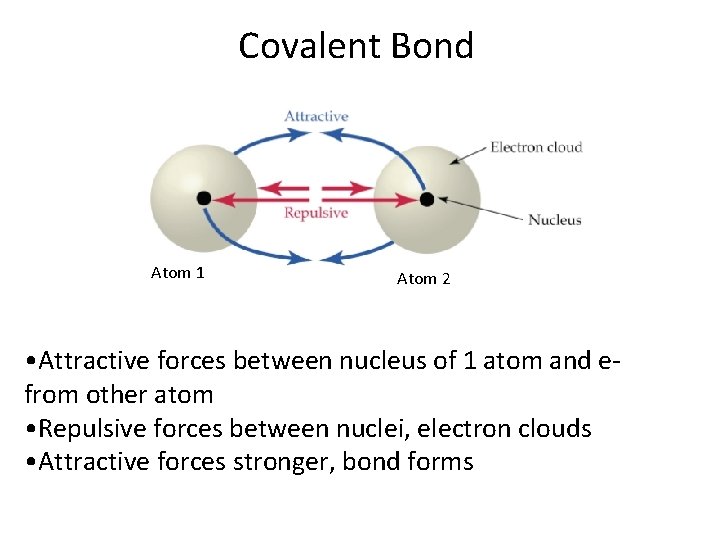 Covalent Bond Atom 1 Atom 2 • Attractive forces between nucleus of 1 atom