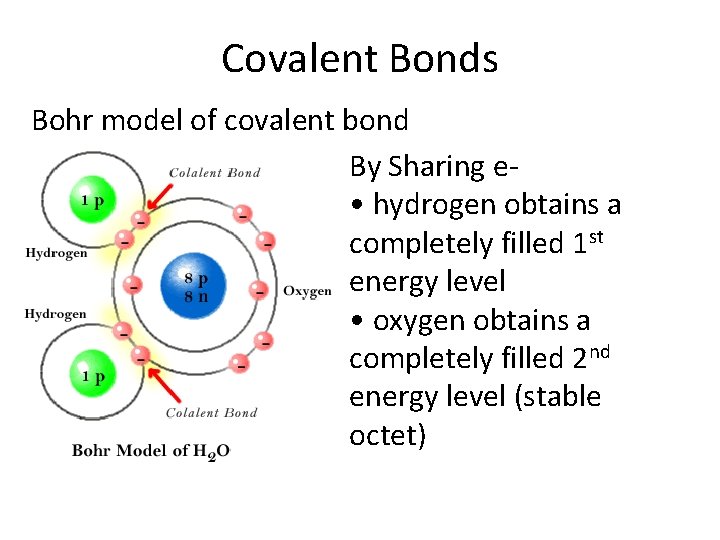 Covalent Bonds Bohr model of covalent bond By Sharing e • hydrogen obtains a