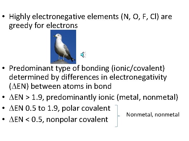  • Highly electronegative elements (N, O, F, Cl) are greedy for electrons •