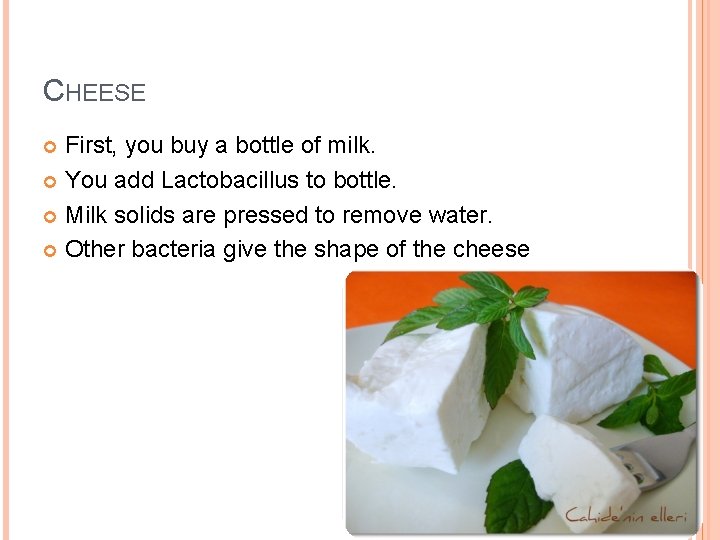 CHEESE First, you buy a bottle of milk. You add Lactobacillus to bottle. Milk