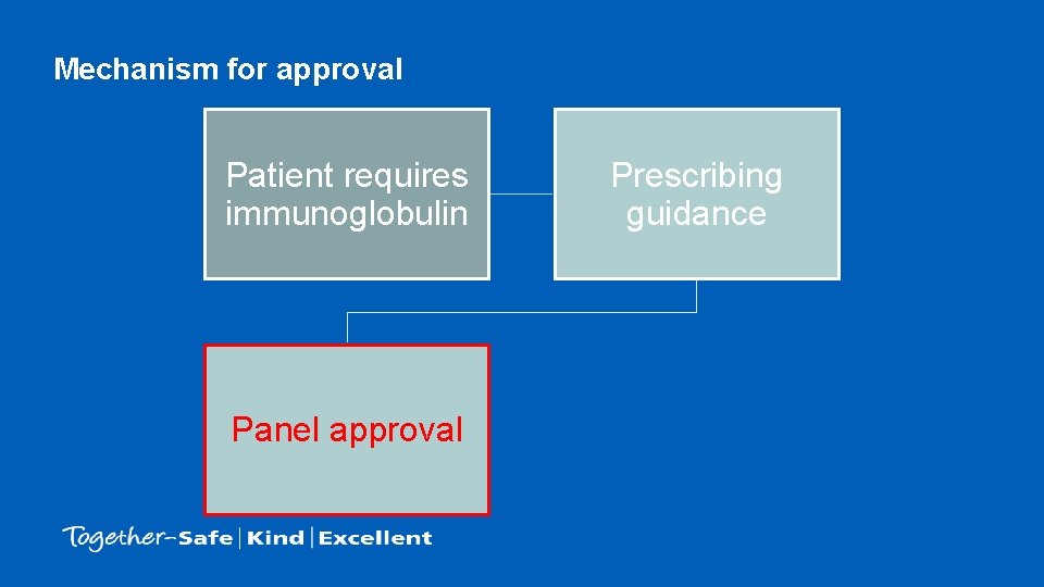 Mechanism for approval Patient requires immunoglobulin Panel approval Prescribing guidance 