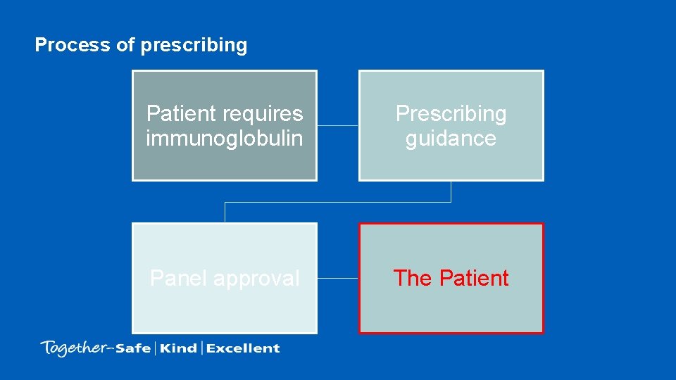 Process of prescribing Patient requires immunoglobulin Prescribing guidance Panel approval The Patient 