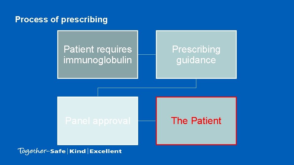 Process of prescribing Patient requires immunoglobulin Prescribing guidance Panel approval The Patient Process of prescribing Patient requires immunoglobulin Prescribing guidance Panel approval The Patient