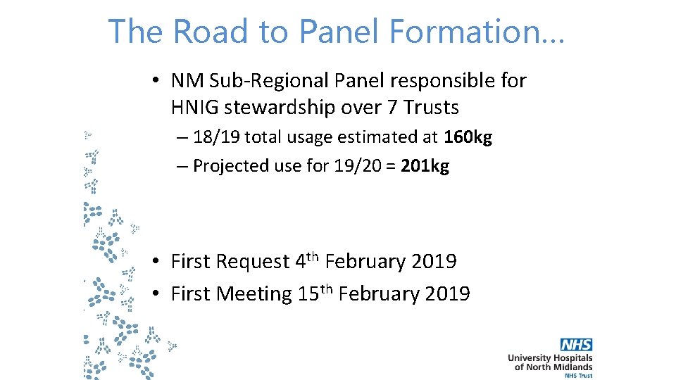 The Road to Panel Formation… • NM Sub-Regional Panel responsible for HNIG stewardship over The Road to Panel Formation… • NM Sub-Regional Panel responsible for HNIG stewardship over
