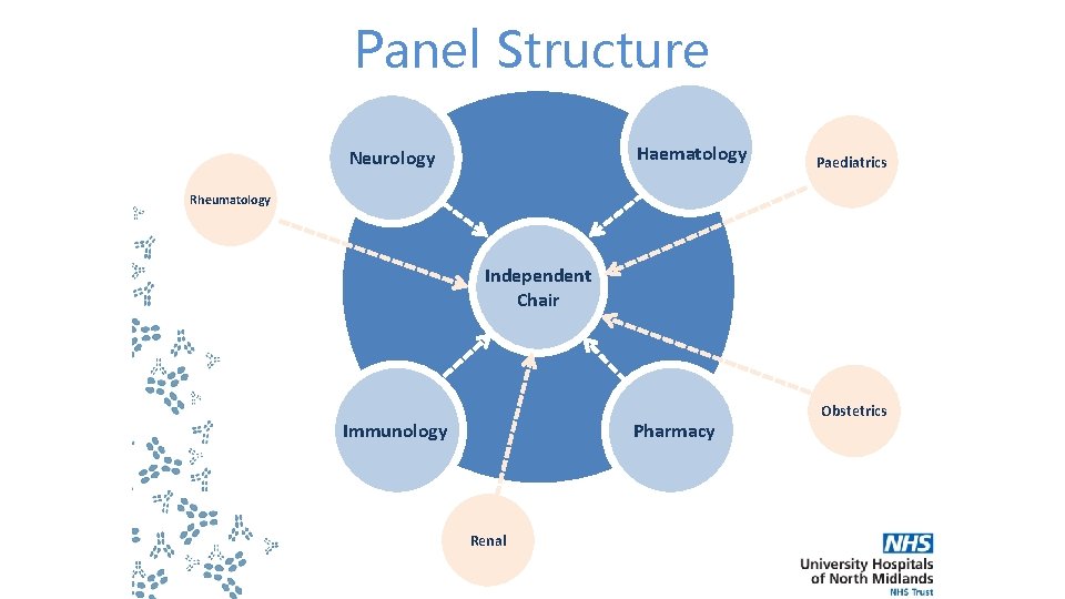 Panel Structure Haematology Neurology Paediatrics Rheumatology Independent Chair Immunology Pharmacy Renal Obstetrics 