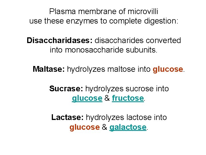 Plasma membrane of microvilli use these enzymes to complete digestion: Disaccharidases: disaccharides converted into