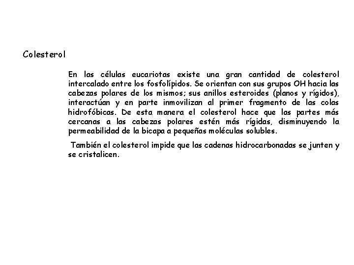 Colesterol En las células eucariotas existe una gran cantidad de colesterol intercalado entre los