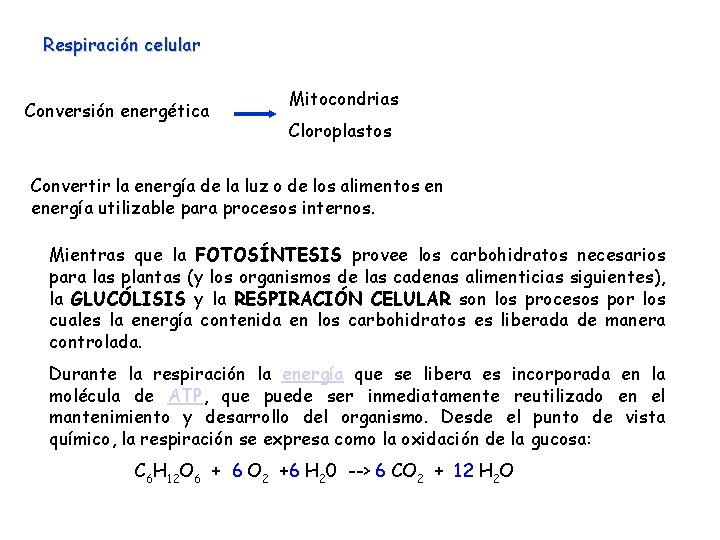 Respiración celular Conversión energética Mitocondrias Cloroplastos Convertir la energía de la luz o de