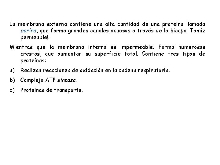 La membrana externa contiene una alta cantidad de una proteína llamada porina, que forma