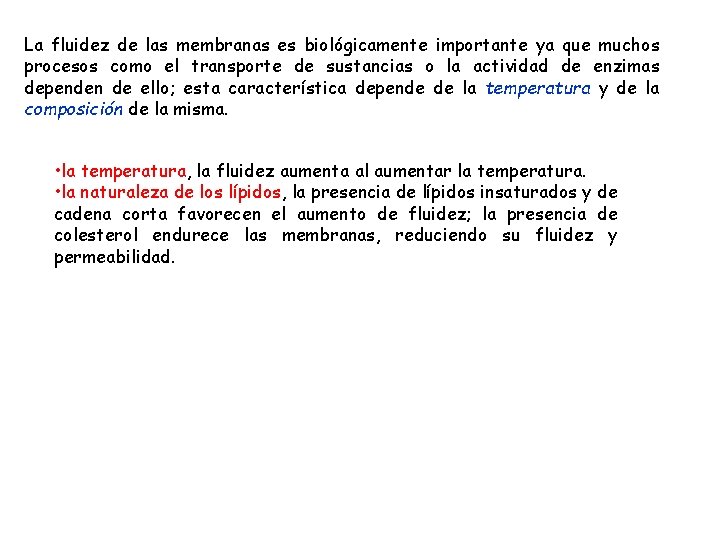 La fluidez de las membranas es biológicamente importante ya que muchos procesos como el