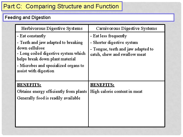 Part C: Comparing Structure and Function Feeding and Digestion Herbivorous Digestive Systems - Eat