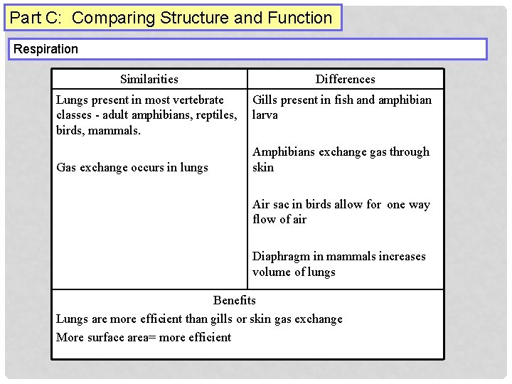 Part C: Comparing Structure and Function Respiration Similarities Differences Lungs present in most vertebrate