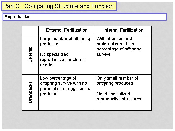 Part C: Comparing Structure and Function Reproduction External Fertilization Drawbacks Benefits Large number of