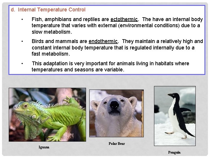 d. Internal Temperature Control • Fish, amphibians and reptiles are ectothermic. The have an