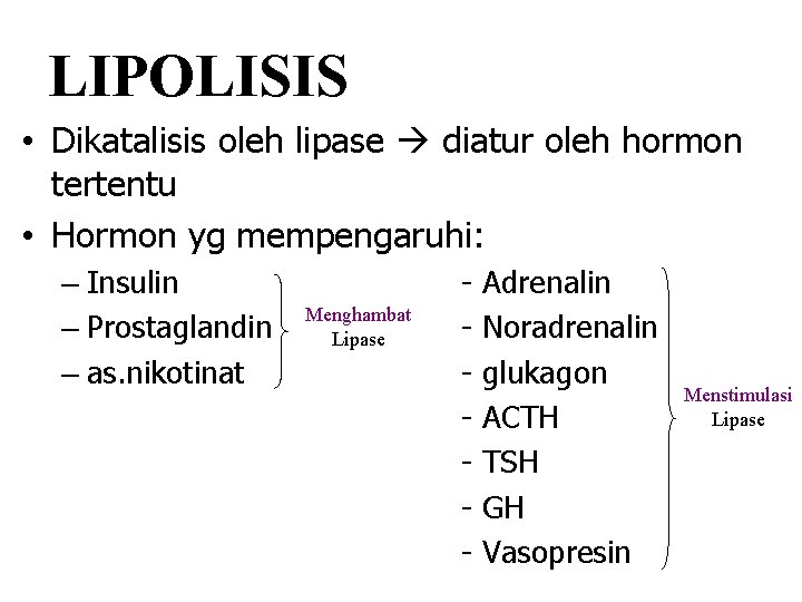 LIPOLISIS • Dikatalisis oleh lipase diatur oleh hormon tertentu • Hormon yg mempengaruhi: –