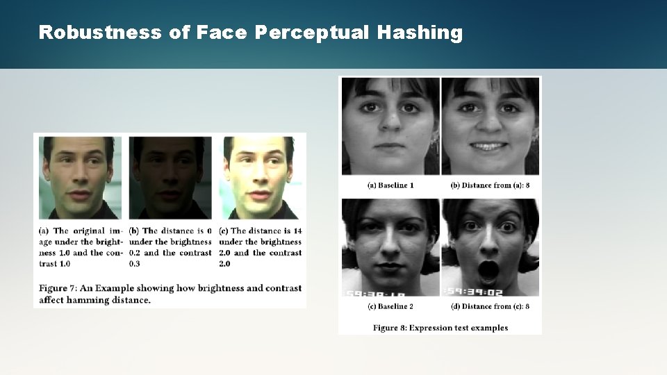 Robustness of Face Perceptual Hashing 
