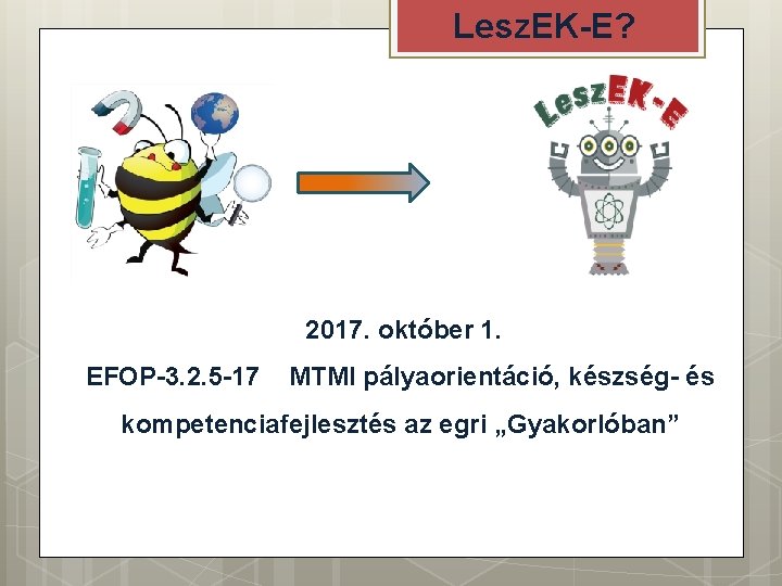 Lesz. EK-E? 2017. október 1. EFOP-3. 2. 5 -17 MTMI pályaorientáció, készség- és kompetenciafejlesztés