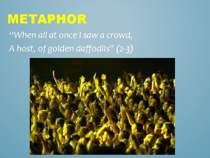 METAPHOR “When all at once I saw a crowd, A host, of golden daffodils”