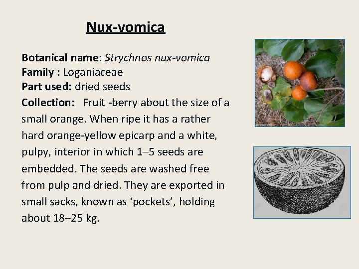 Nux-vomica Botanical name: Strychnos nux-vomica Family : Loganiaceae Part used: dried seeds Collection: Fruit