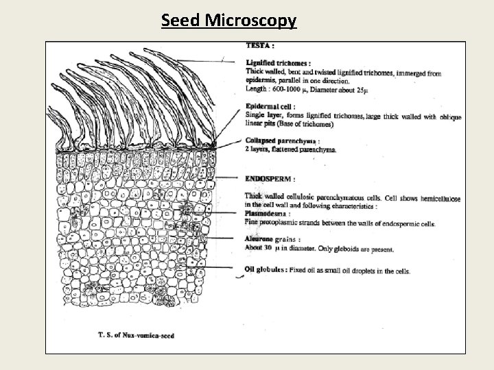 Seed Microscopy 