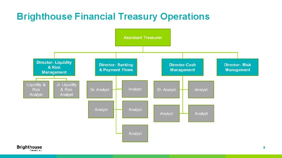 Brighthouse Financial Treasury Operations 8 