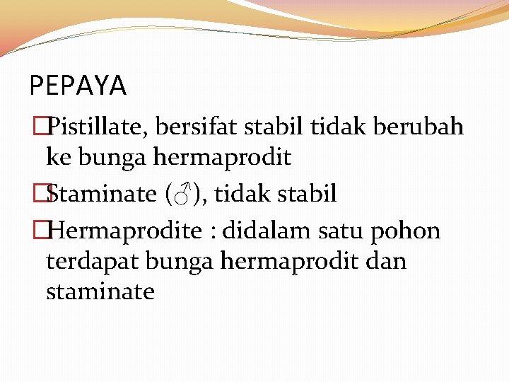 PEPAYA �Pistillate, bersifat stabil tidak berubah ke bunga hermaprodit �Staminate (♂), tidak stabil �Hermaprodite