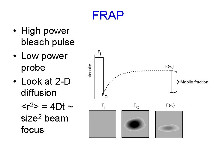 FRAP • High power bleach pulse • Low power probe • Look at 2