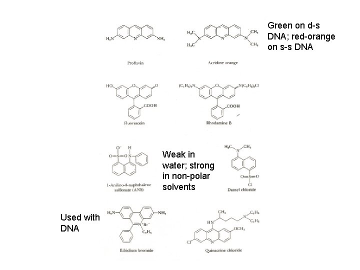 Green on d-s DNA; red-orange on s-s DNA Weak in water; strong in non-polar