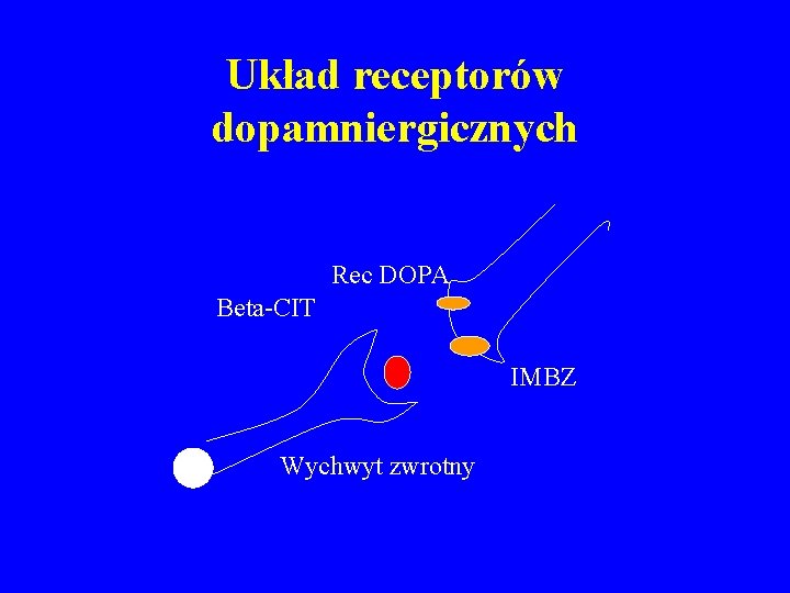 Układ receptorów dopamniergicznych Rec DOPA Beta-CIT IMBZ Wychwyt zwrotny 