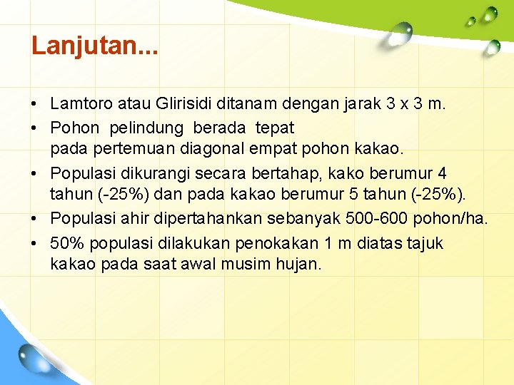 Lanjutan. . . • Lamtoro atau Glirisidi ditanam dengan jarak 3 x 3 m.