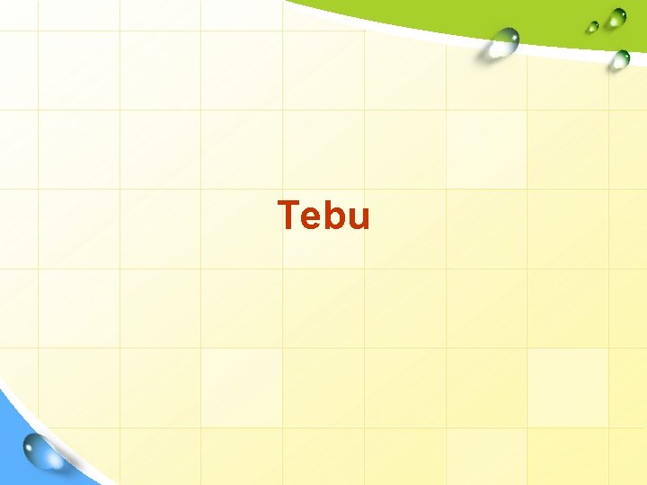 Tebu 