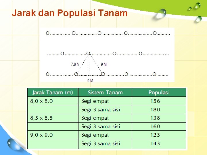 Jarak dan Populasi Tanam 