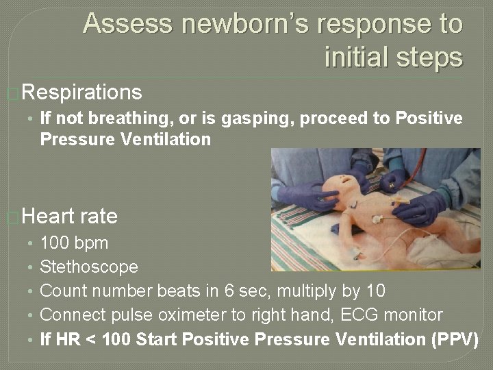 Assess newborn’s response to initial steps �Respirations • If not breathing, or is gasping,
